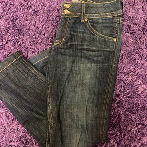HUDSON DARK WASH